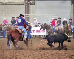meet the member the rodeo news