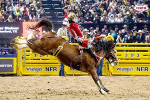 INDOOR RODEOS
