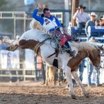 Battle Torn: O’Connell Returns From Injury