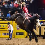Pain in the Neck: The Lives of Bareback Riders