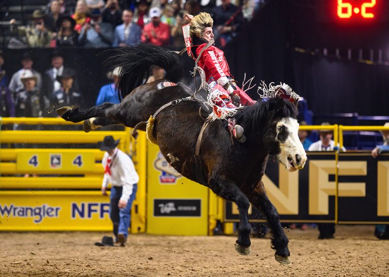 Pain in the Neck: The Lives of Bareback Riders