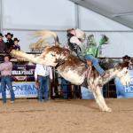Westin Clemens: Grit, Ground, and Growing Up