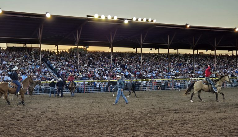 Rodeo Offers An Economic Alternative