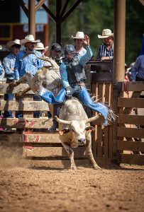 Bull Riding Is In The Blood